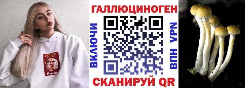 Галлюциногенные грибы Cubensis  omg tor  Строитель  наркошоп 