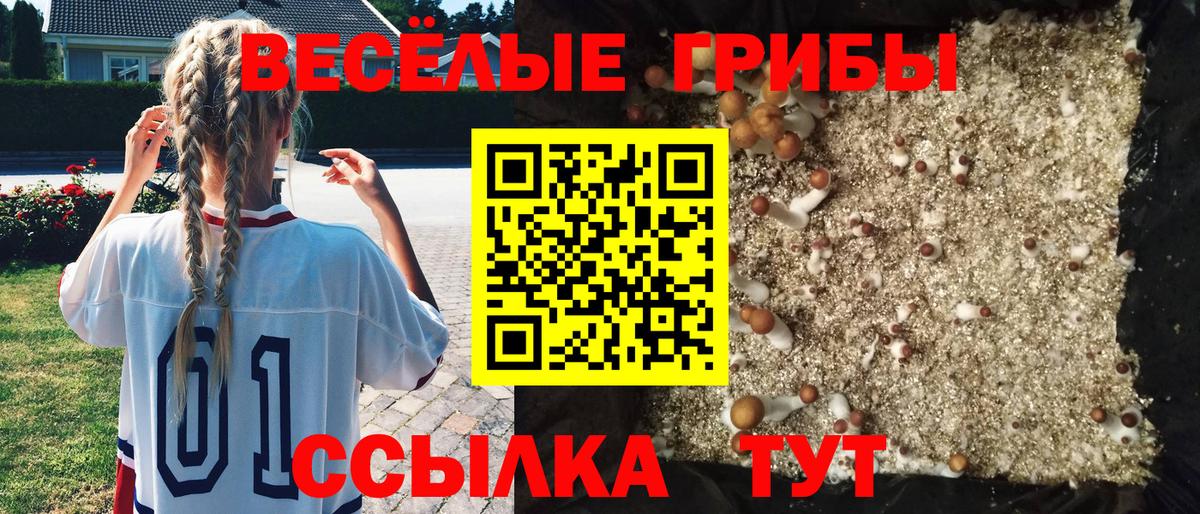  КОКАИН Строитель